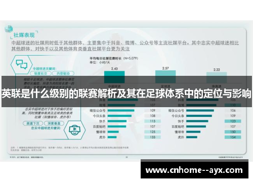 英联是什么级别的联赛解析及其在足球体系中的定位与影响 英联是什么级别的联赛解析及其在足球体系中的定位与影响