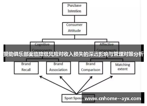 赞助俱乐部面临降级风险对收入损失的深远影响与管理对策分析