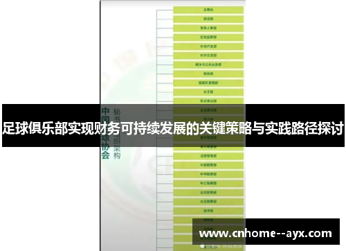 足球俱乐部实现财务可持续发展的关键策略与实践路径探讨