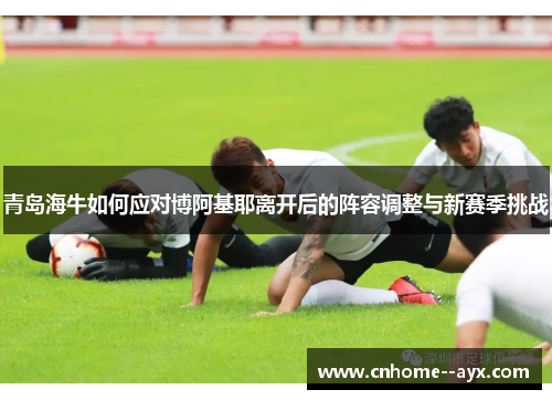 青岛海牛如何应对博阿基耶离开后的阵容调整与新赛季挑战