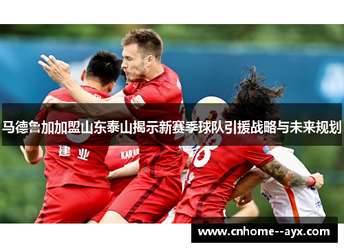 马德鲁加加盟山东泰山揭示新赛季球队引援战略与未来规划 马德鲁加加盟山东泰山揭示新赛季球队引援战略与未来规划