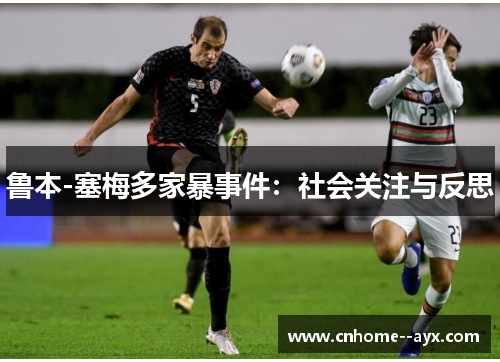 鲁本-塞梅多家暴事件:社会关注与反思 鲁本-塞梅多家暴事件:社会关注与反思