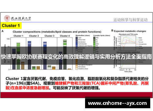 快速掌握欧协联赛程变化的高效理解逻辑与实用分析方法全面指南 快速掌握欧协联赛程变化的高效理解逻辑与实用分析方法全面指南