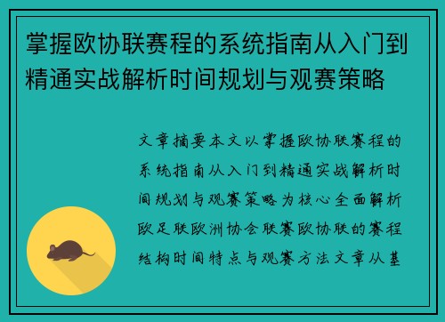 掌握欧协联赛程的系统指南从入门到精通实战解析时间规划与观赛策略
