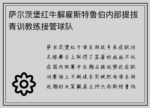 萨尔茨堡红牛解雇斯特鲁伯内部提拔青训教练接管球队