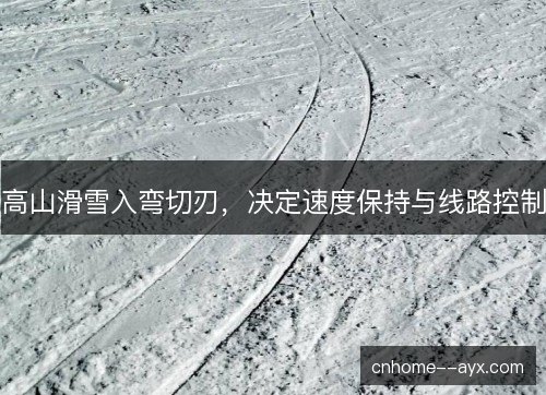 高山滑雪入弯切刃，决定速度保持与线路控制